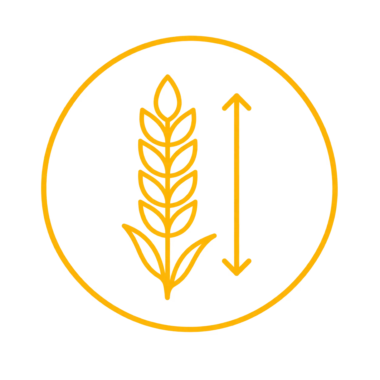 Orange outline icon of a wheat stalk with a double-headed vertical arrow beside it inside a circular border, symbolizing growth or height measurement.
