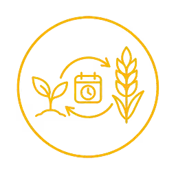 Orange outline of a wheat stalk with a location pin marked with a grain inside, all enclosed in a circle on a transparent background.