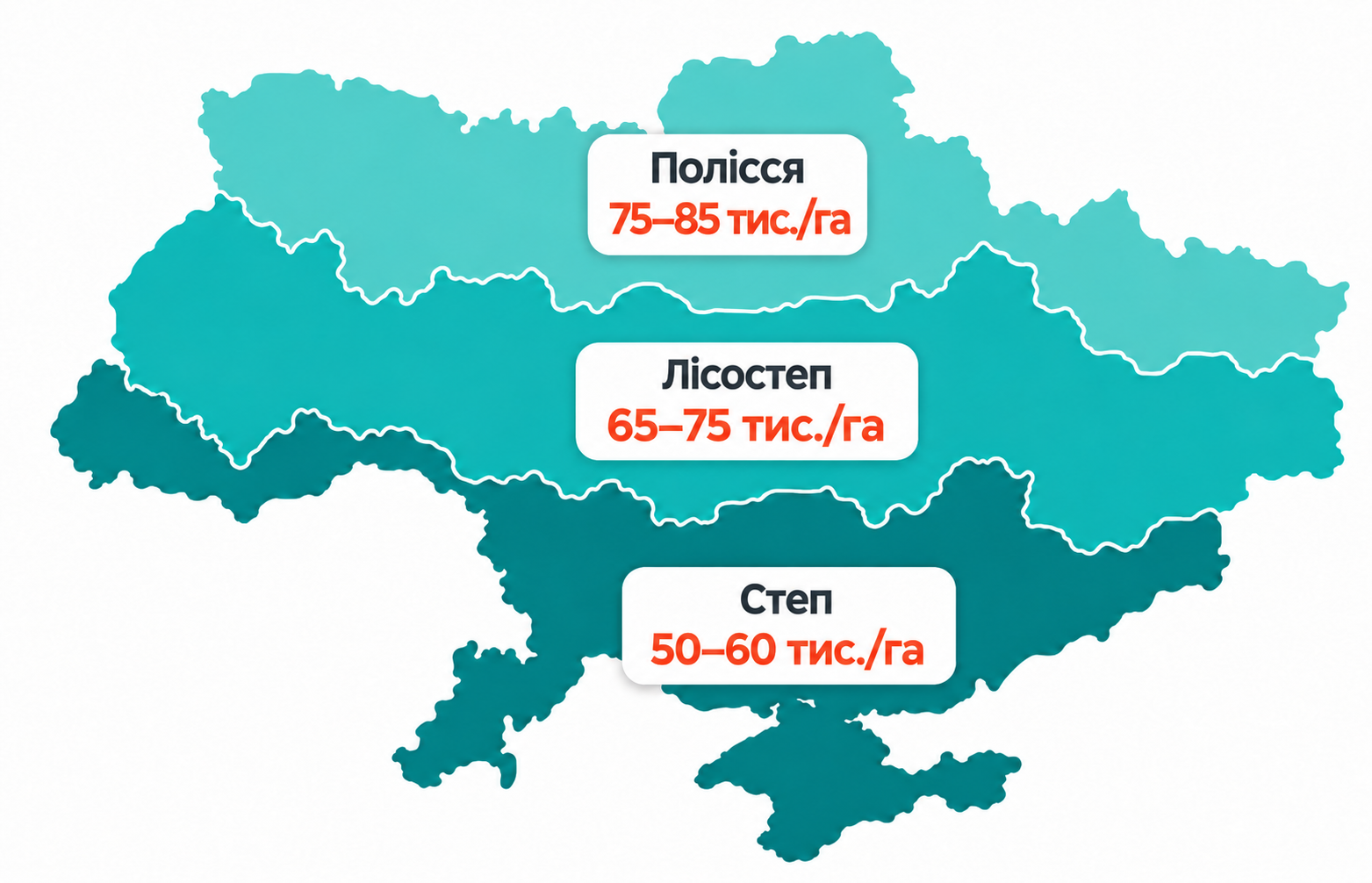 Високоврожайнийсорт озимої м'якої пшениці
